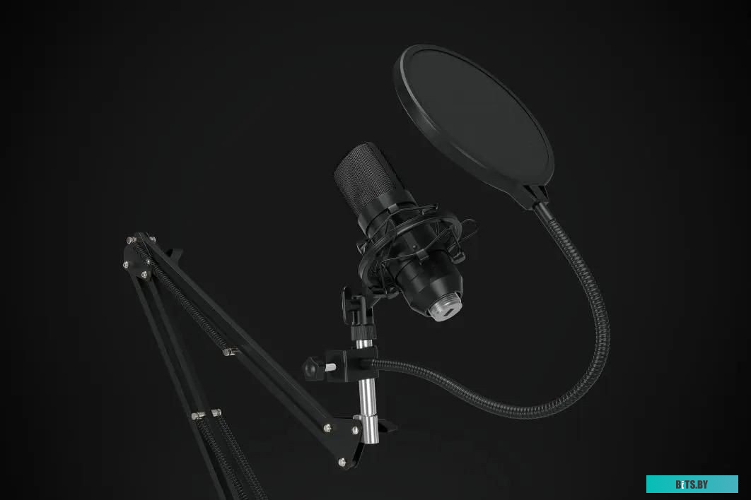 Микрофон Оклик SM-600G 1796784