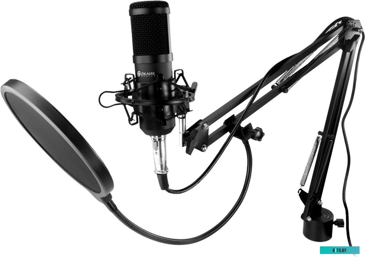 Микрофон Оклик SM-600G 1796784