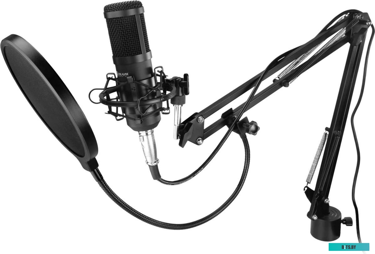 Микрофон Оклик SM-600G 1796784