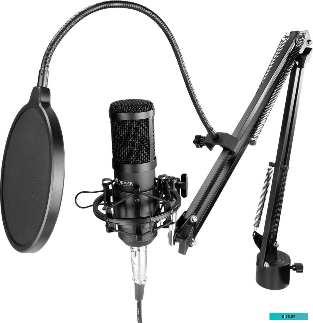 Микрофон Оклик SM-600G 1796784