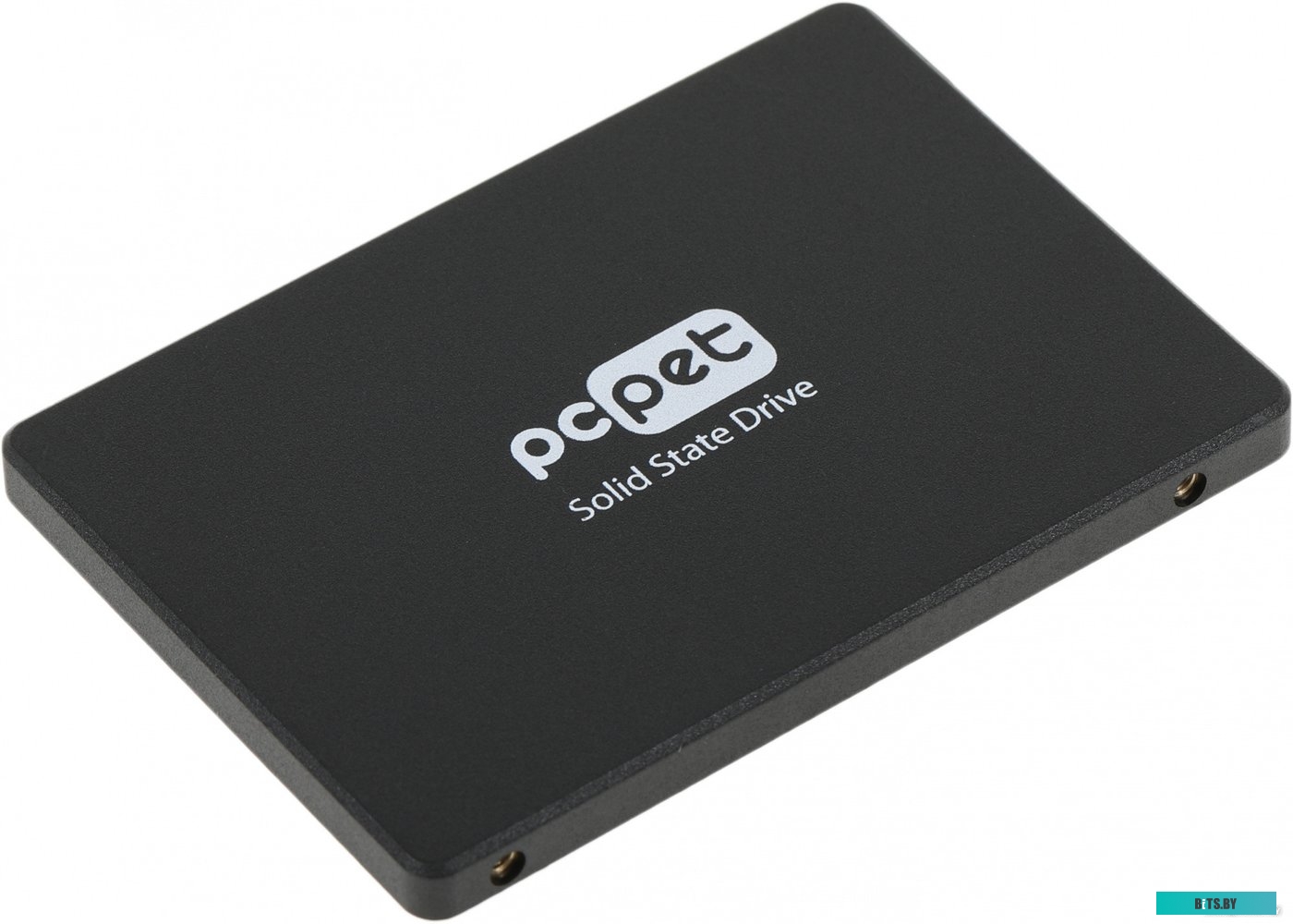 SSD накопитель PC Pet 256GB PCPS256G2