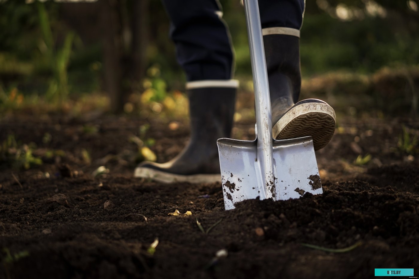 Тонер Hi-Black для HP CLJ Pro M452/ MFP  M477, Химический, Тип 2.4, M, 125 г, банка  (арт. 10006202) 