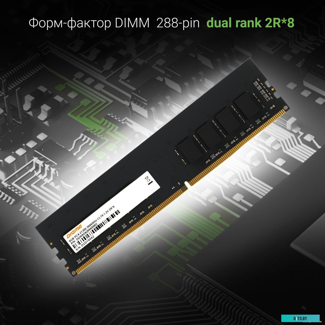 Оперативная память Digma DGMAD42666008D 1892914