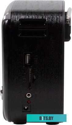 Радиоприемник Ritmix RPR-065 <RPR-065 Gray>