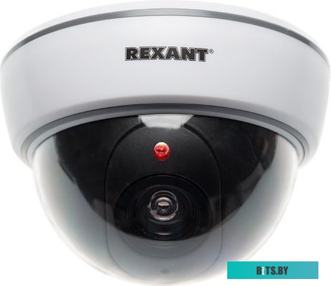 IP-камера Rexant 45-0210