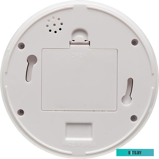IP-камера Rexant 45-0210