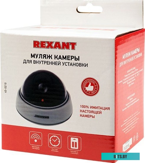 IP-камера Rexant 45-0210