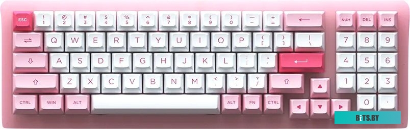 Клавиатура Akko ACR 98 Mini Prunus Lannesiana (Akko CS Jelly White) <1745898>