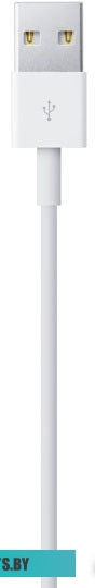 Кабель Apple MXLY2ZM/A