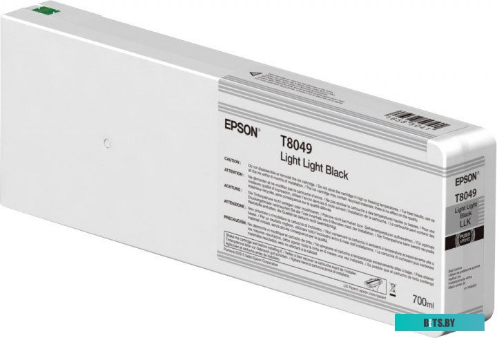 Картридж Epson C13T804900