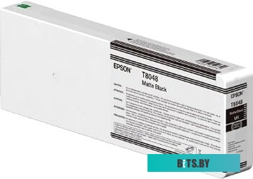 Картридж Epson C13T804700