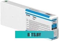 Картридж Epson C13T804200