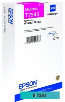 Картридж-чернильница (ПЗК) Epson C13T754340