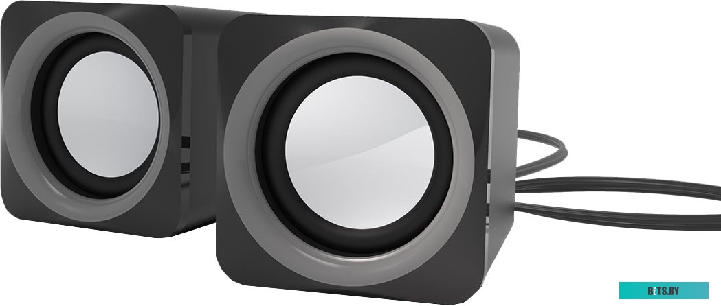 Акустика Ritmix SP-2025 (черный/серый)