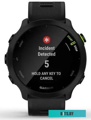 Умные часы Garmin Forerunner 55 (черный) <010-02562-10>