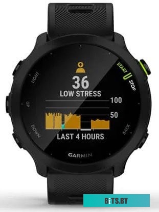 Умные часы Garmin Forerunner 55 (черный) <010-02562-10>