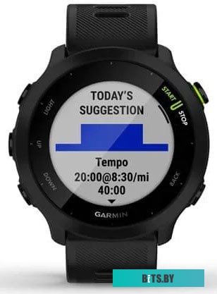 Умные часы Garmin Forerunner 55 (черный) <010-02562-10>