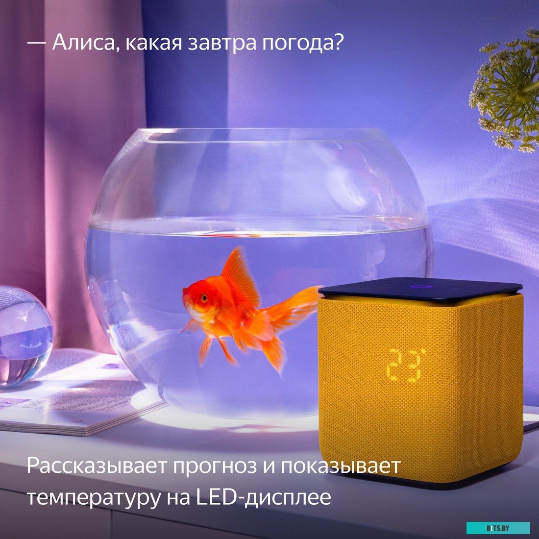 Умная колонка Яндекс Станция Миди оранжевый YNDX-00054ORG