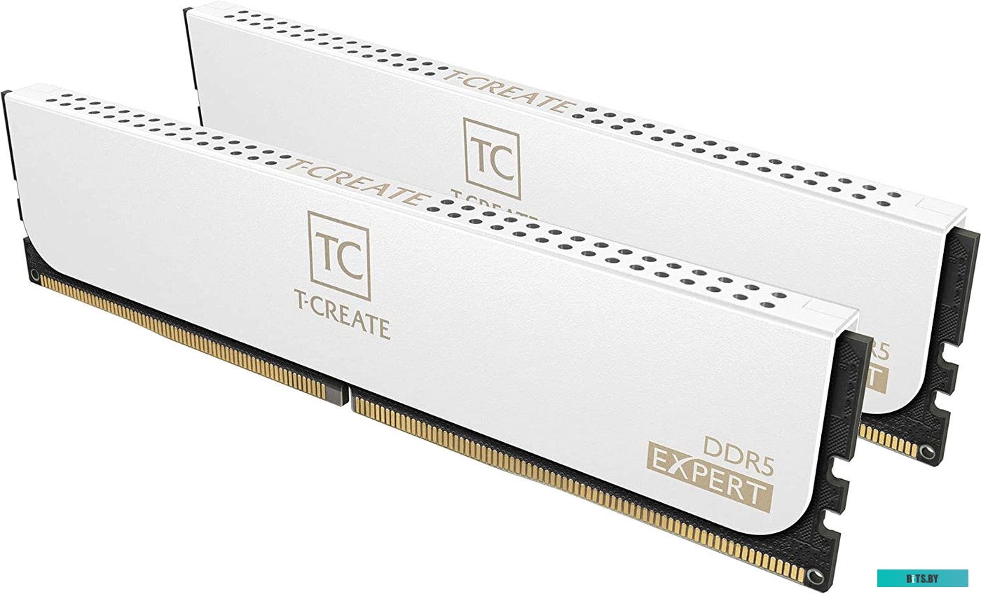 Team T-Create Expert 2x16ГБ DDR5 6000 МГц CTCWD532G6000HC30DC01