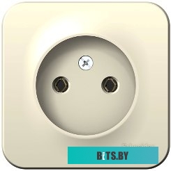 Розетка Schneider Electric Blanca BLNRA000112