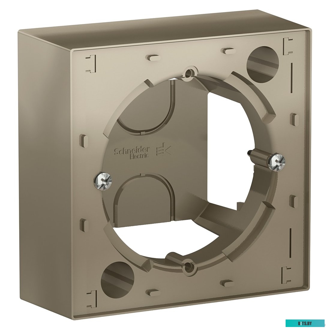 Розетка Schneider Electric ATN000500 (Шампань)