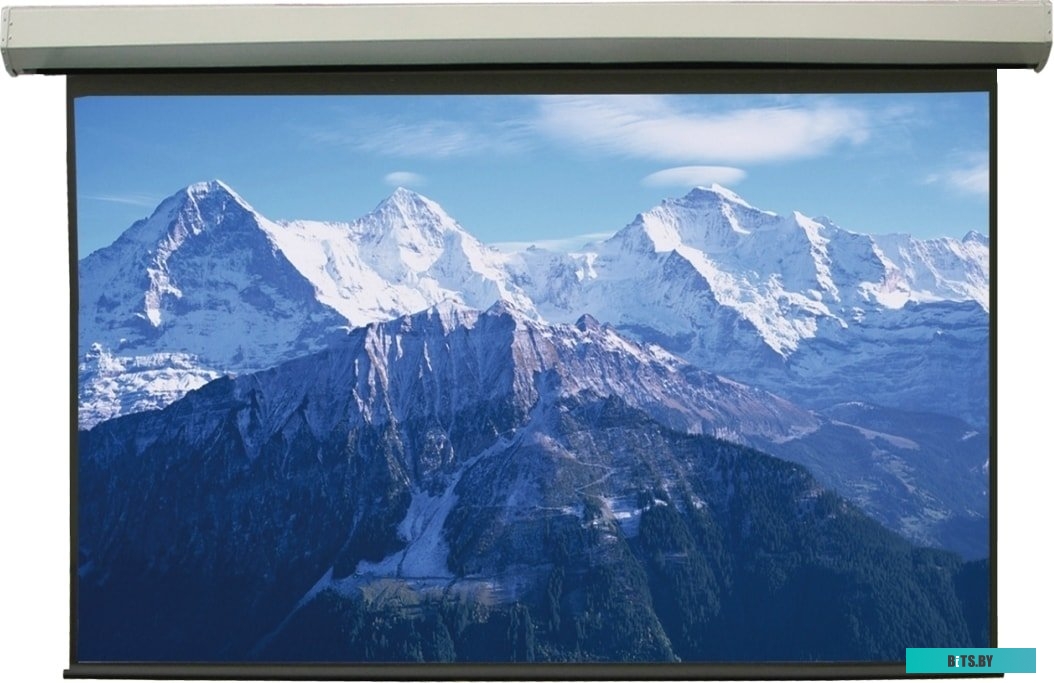 Экран для проекторов Lumien Master Large Control 399x518 LMLC-100101A