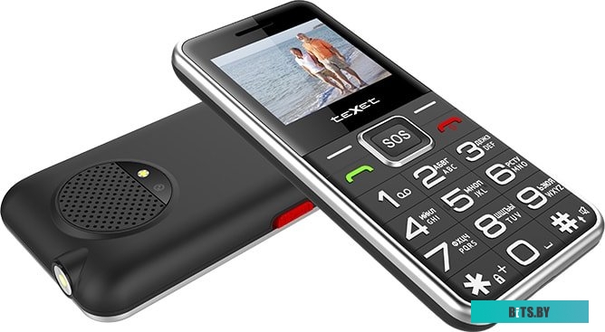 Мобильный телефон TeXet TM-B319 (черный)