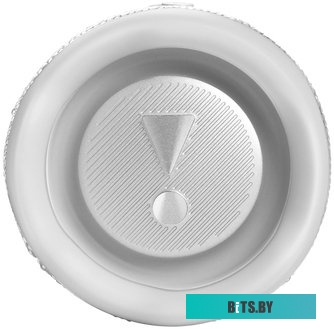 Беспроводная колонка JBL Flip 6 (белый)