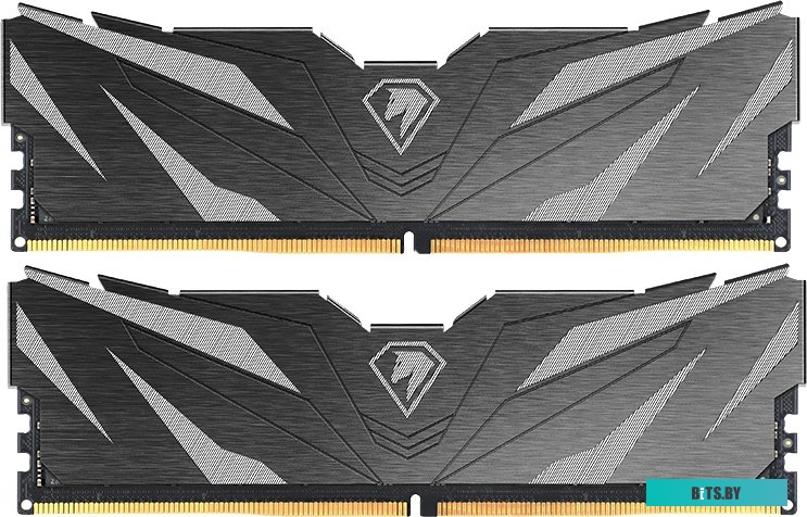 Оперативная память Netac Shadow II 2x8ГБ DDR5 4800 МГц NTSWD5P48DP-16K