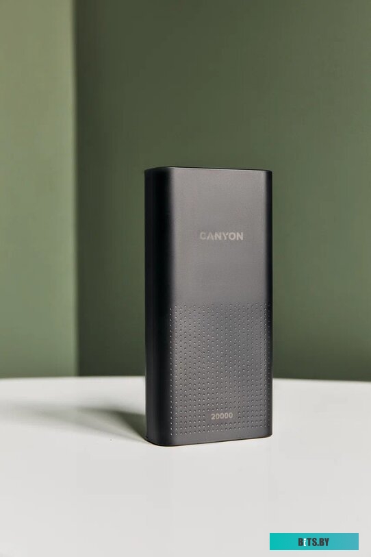 Портативное зарядное устройство Canyon CNE-CPB2001B 20000mAh (черный)
