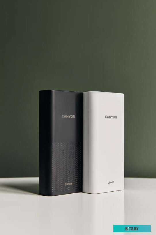 Портативное зарядное устройство Canyon CNE-CPB2001B 20000mAh (черный)