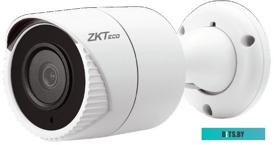 IP-камера ZKTeco BS-852O22B