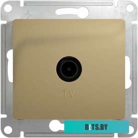 Розетка Schneider Electric Glossa GSL000491 (титан)