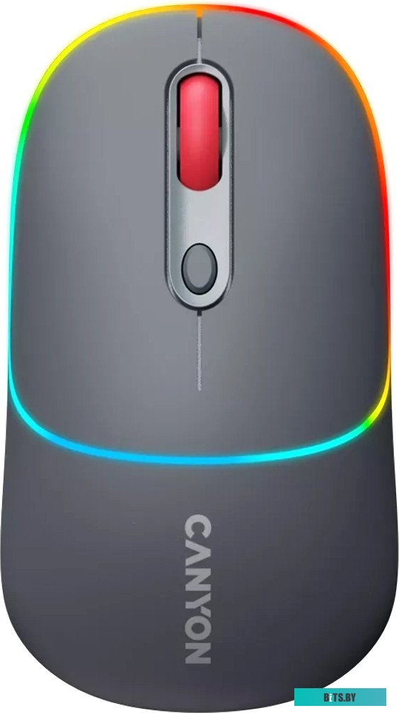 Мышь Canyon MW-22 CNS-CMSW22DG