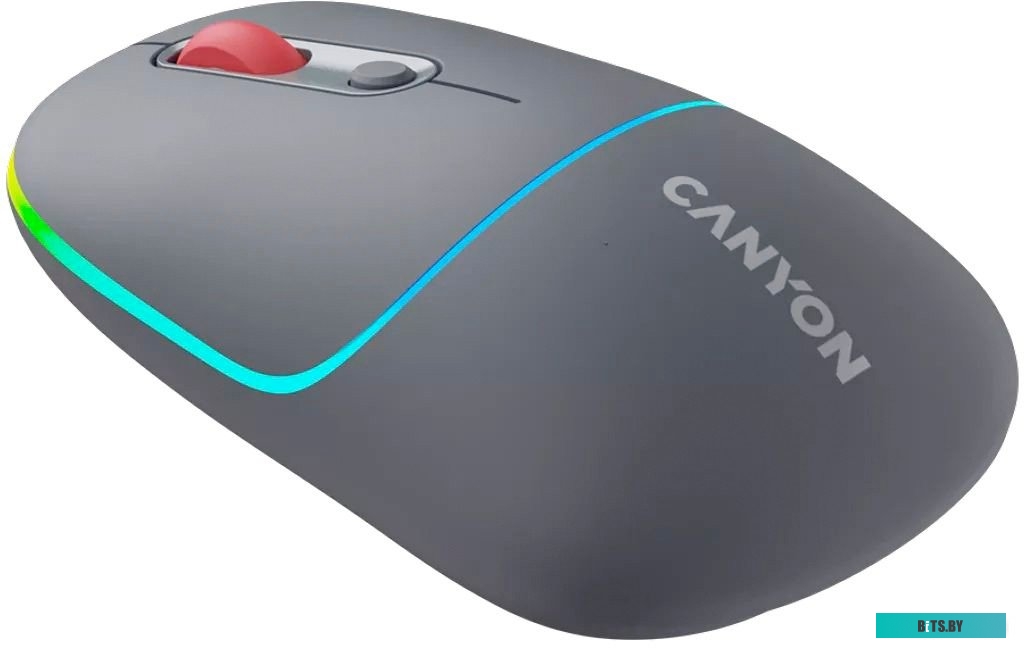 Мышь Canyon MW-22 CNS-CMSW22DG