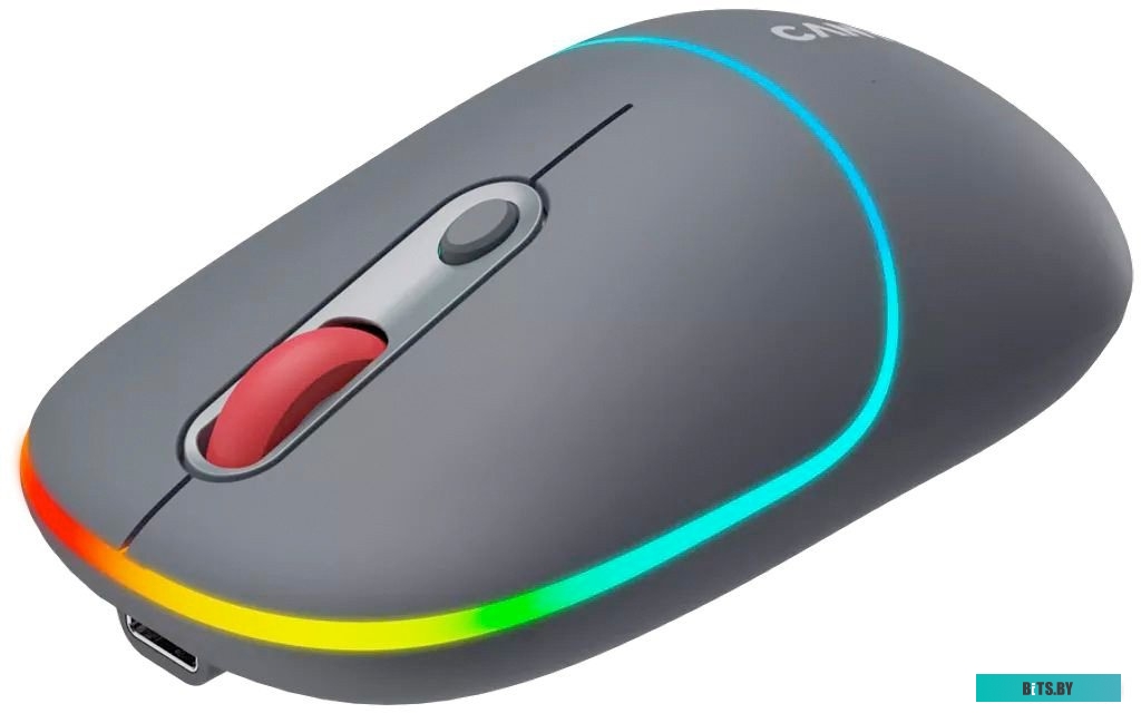 Мышь Canyon MW-22 CNS-CMSW22DG