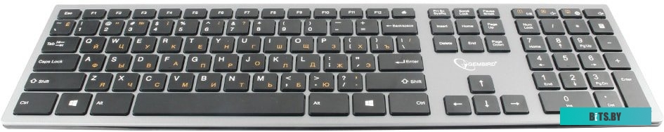 Клавиатура Gembird KBW-1