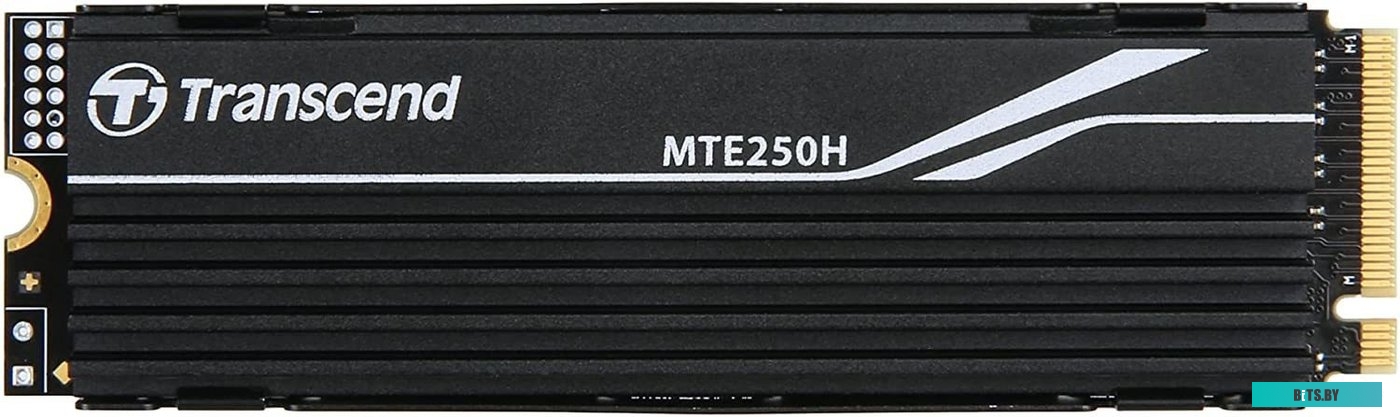 250H 1TB TS1TMTE250H