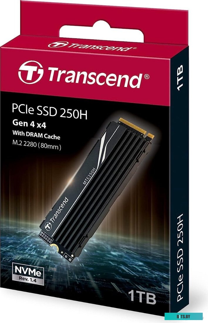 250H 1TB TS1TMTE250H