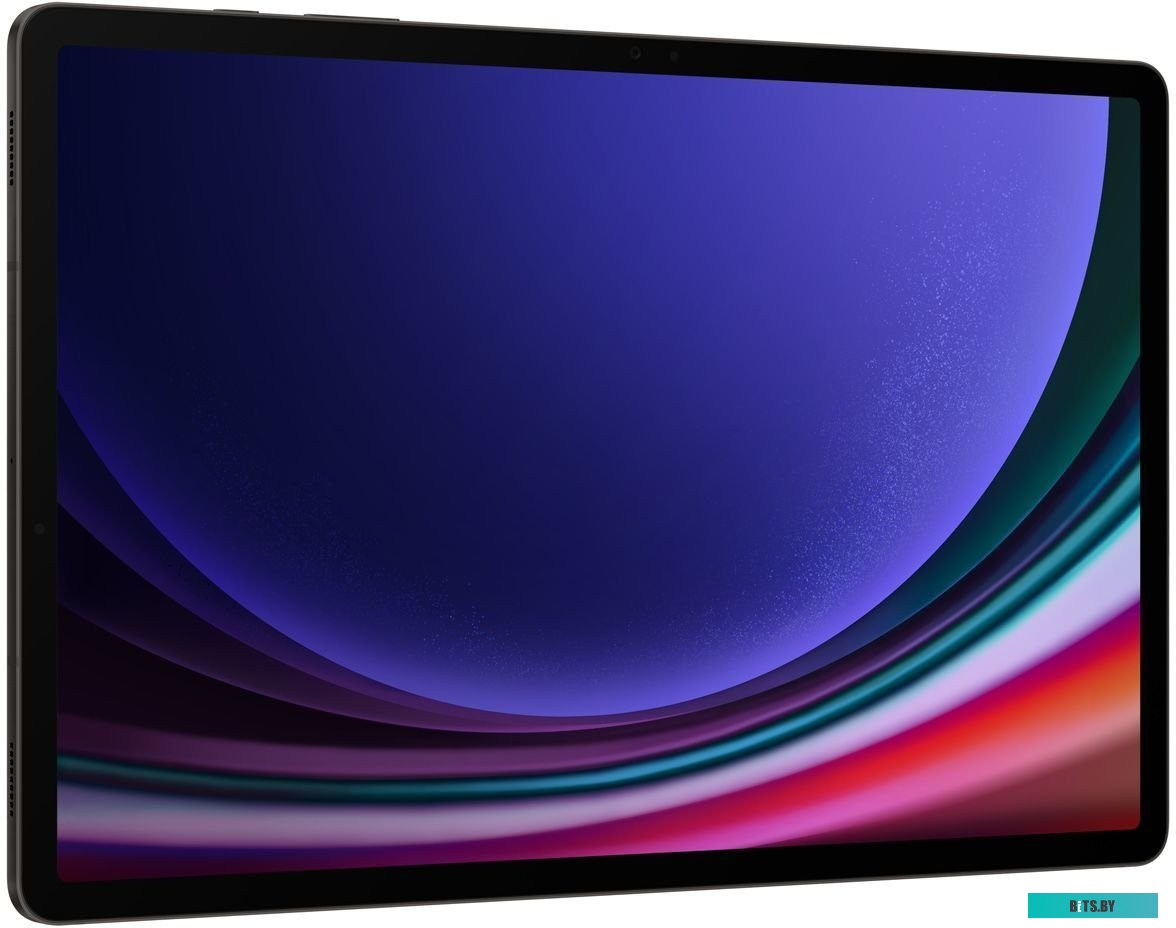 Планшет Samsung Galaxy Tab S9+ SM-X810 12GB/512GB (графитовый)