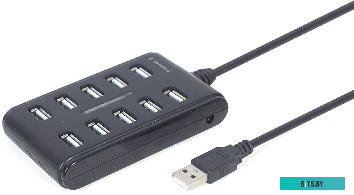 USB-хаб Gembird UHB-U2P10P-01