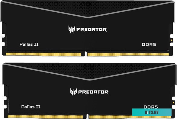 BL.9BWWR.438 Acer Predator Pallas II 2x32ГБ DDR5 6400 МГц BL.9BWWR.438