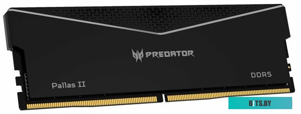 BL.9BWWR.438 Acer Predator Pallas II 2x32ГБ DDR5 6400 МГц BL.9BWWR.438