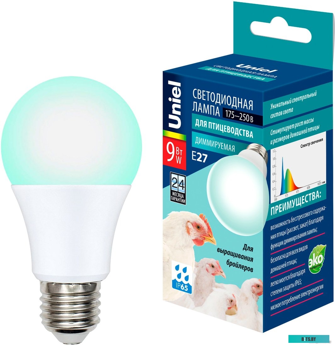 UL0000319						 Водонагреватель Thermex IBL 15 O 2.5кВт 15л электрический настенный