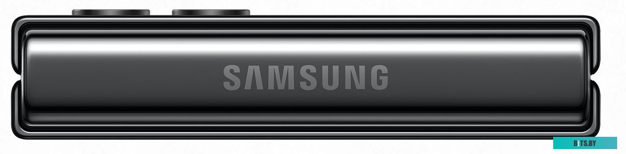 Samsung Galaxy Z Flip5 SM-F731B/DS 8GB/256GB (графит)