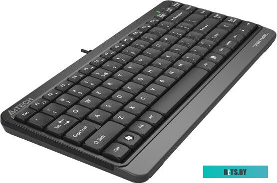 Клавиатура A4Tech Fstyler FK11 (черный/серый)
