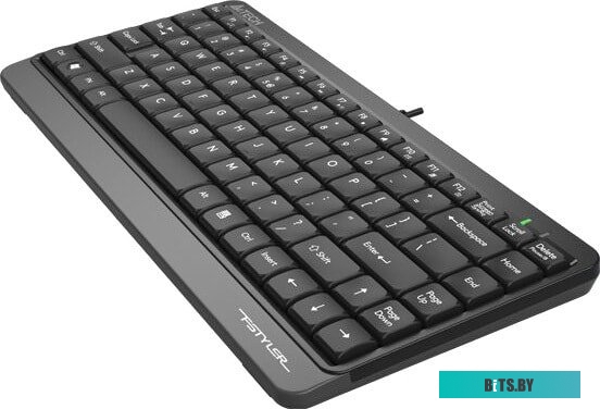 Клавиатура A4Tech Fstyler FK11 (черный/серый)