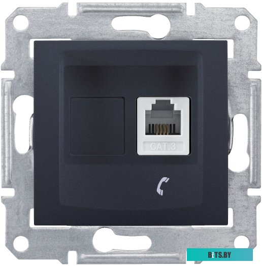Розетка компьютерная Schneider Electric Sedna SDN4101170