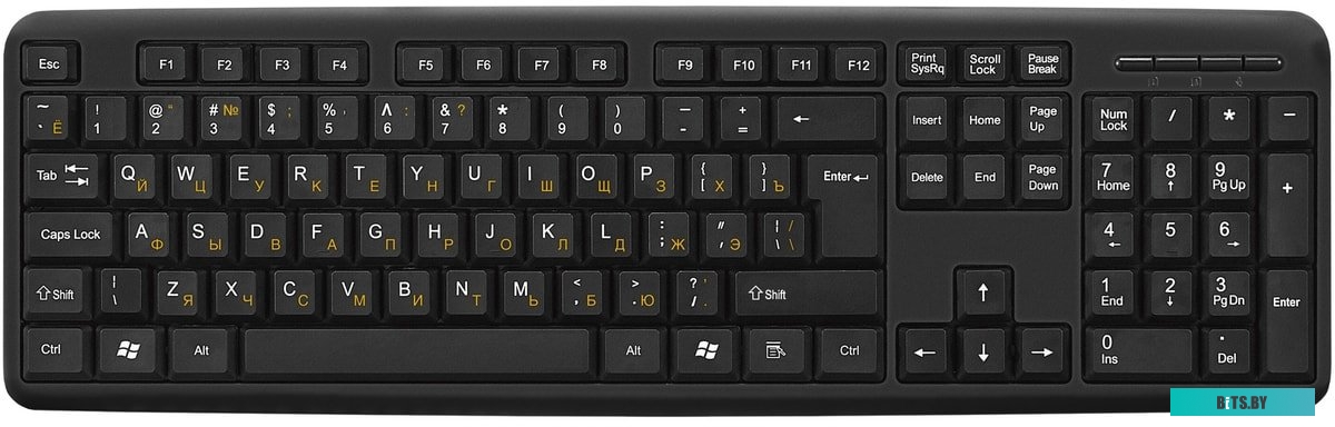 Клавиатура ExeGate Professional Standard LY-405 <EX287138RUS>