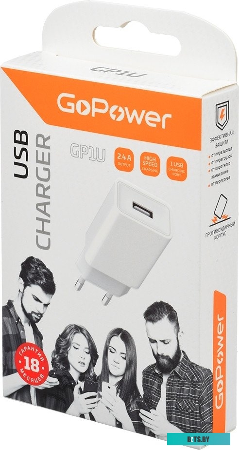 Кабель GoPower GP01L 00-00018568